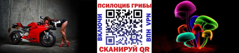 Галлюциногенные грибы Psilocybine cubensis Духовщина